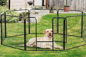 Mejores vallas y barreras para perros