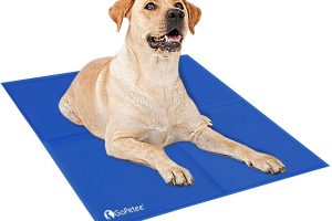 Mejores mantas refrigerantes para perros