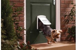 Mejores puertas para perros
